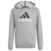Adidas - Kid's BL 2 Hoodie - Sweat à Capuche 1 Adidas - Kid's BL 2 Hoodie - Sweat à Capuche -Maloja Magasi adidas kids bl 2 hoodie sweat a capuche