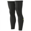 ALE Alé - Termico Legwarmer - Jambières Sport 2 ALE Alé - Termico Legwarmer - Jambières Sport -Maloja Magasi ale termico legwarmer jambieres sport