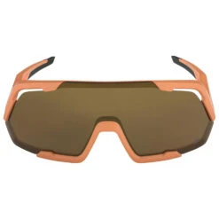 Alpina - Rocket Q-Lite Mirror Cat. 2 - Lunettes Vélo 10 Alpina - Rocket Q-Lite Mirror Cat. 2 - Lunettes Vélo -Maloja Magasi alpina rocket q lite mirror cat 2 lunettes velo detail 3