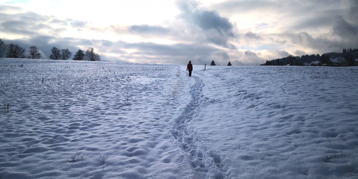 Martini - Advance Headband - Bandeau 4 Martini - Advance Headband - Bandeau – Image 2